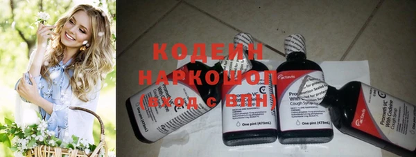 ПСИЛОЦИБИНОВЫЕ ГРИБЫ Вяземский