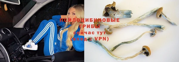 прущие крисы Вязники