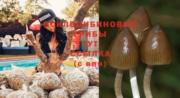 прущие крисы Вязники