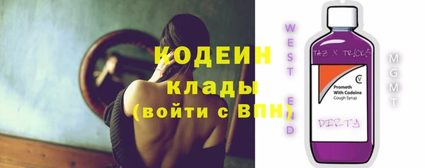 ПСИЛОЦИБИНОВЫЕ ГРИБЫ Вяземский