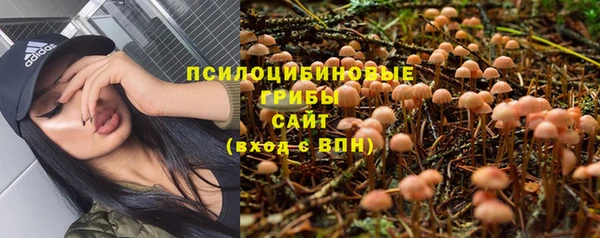 mix Вязьма