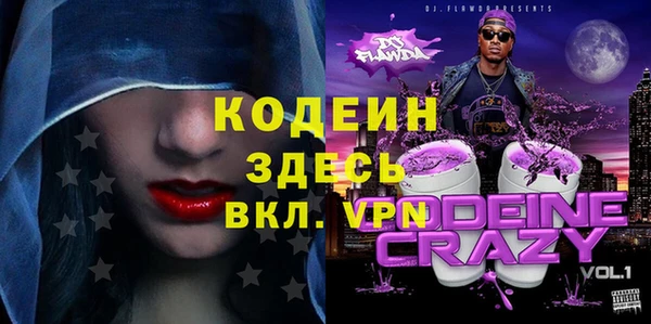 ПСИЛОЦИБИНОВЫЕ ГРИБЫ Вяземский